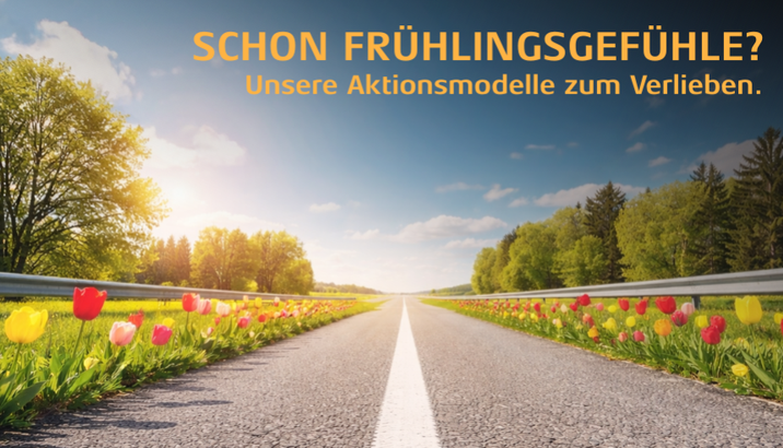 Entdecken Sie jetzt unsere Aktionsmodelle zum Verlieben der Marken VW, Audi, SEAT, Škoda, CUPRA und VW Nutzfahrzeuge.